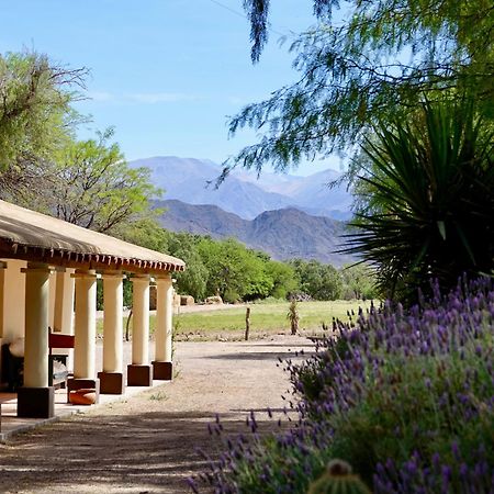 Estancia Banda Grande - Horse & Hiking Safaris Molinos Exterior foto