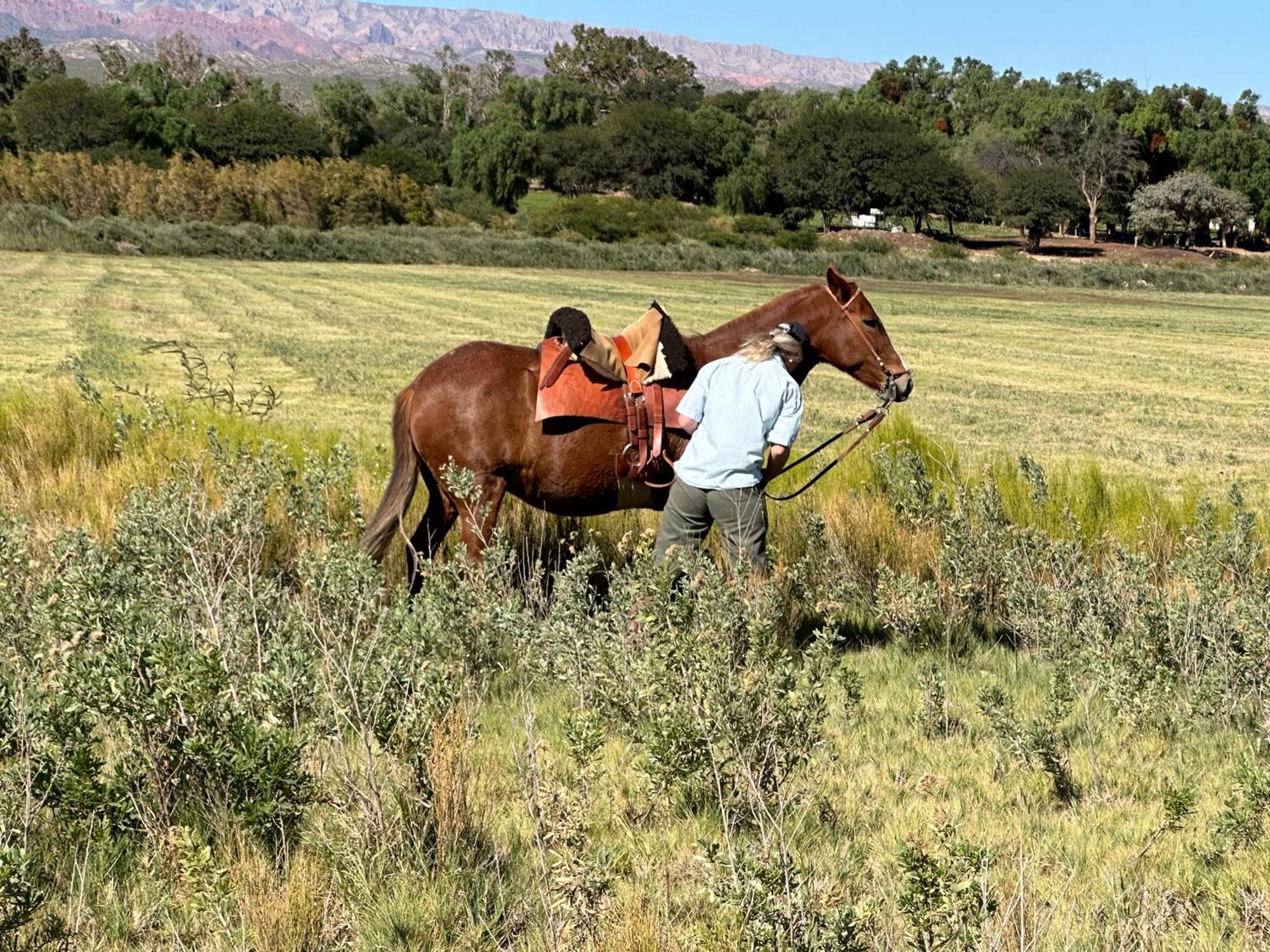 Estancia Banda Grande - Horse & Hiking Safaris Molinos Exterior foto