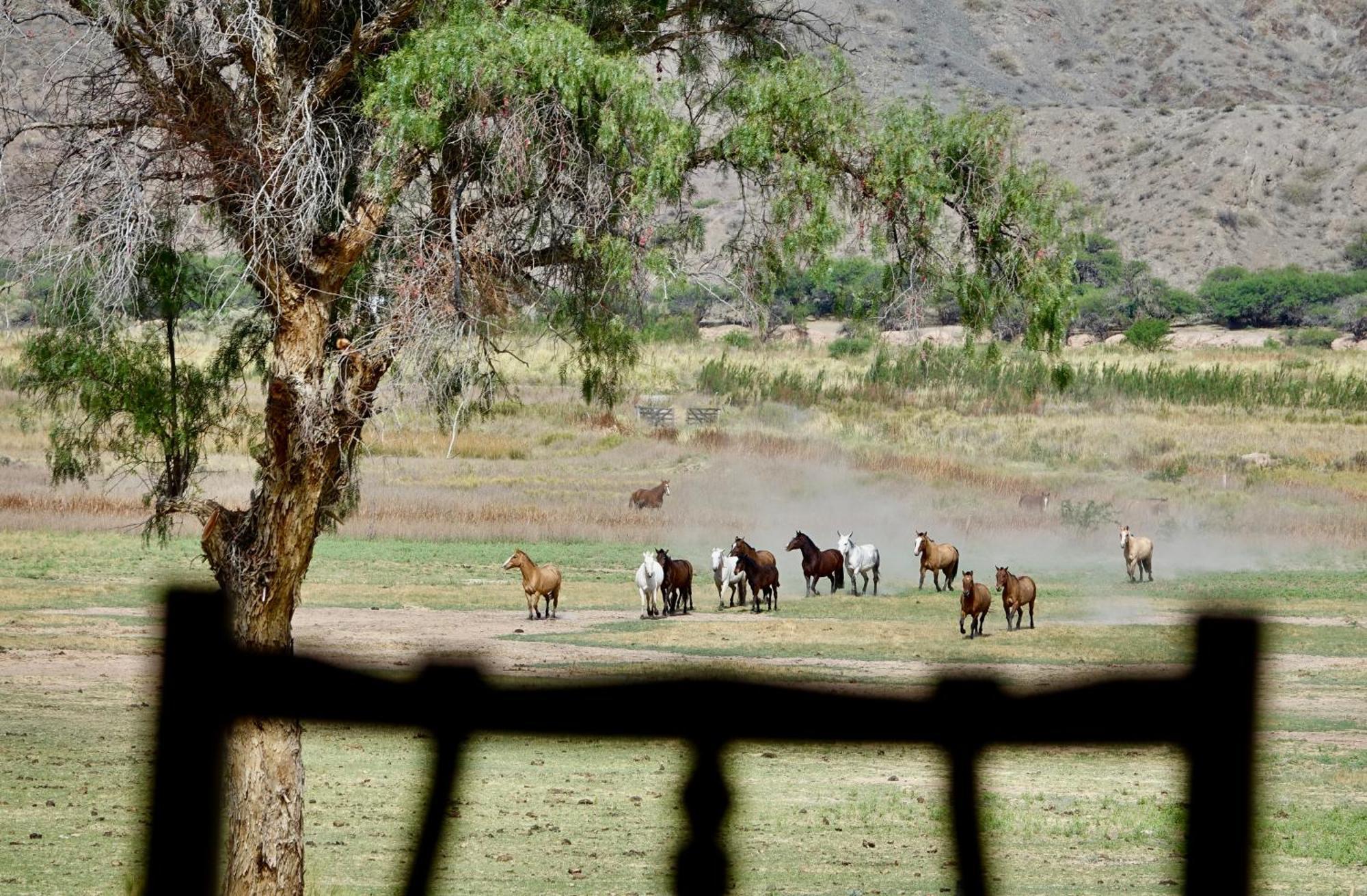 Estancia Banda Grande - Horse & Hiking Safaris Molinos Exterior foto