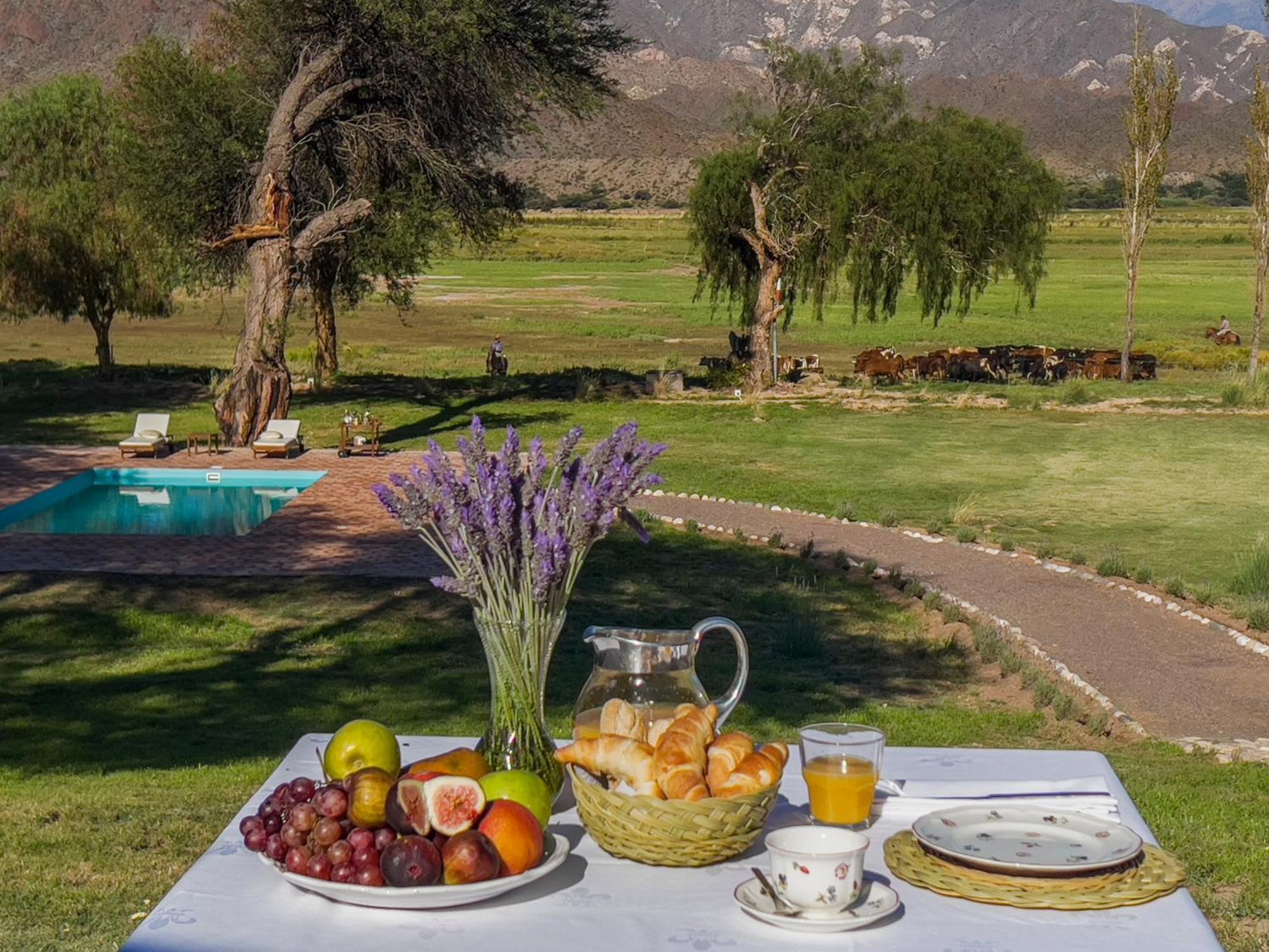 Estancia Banda Grande - Horse & Hiking Safaris Molinos Exterior foto